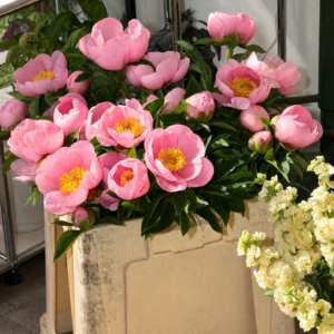 Jolie brassée de pivoines